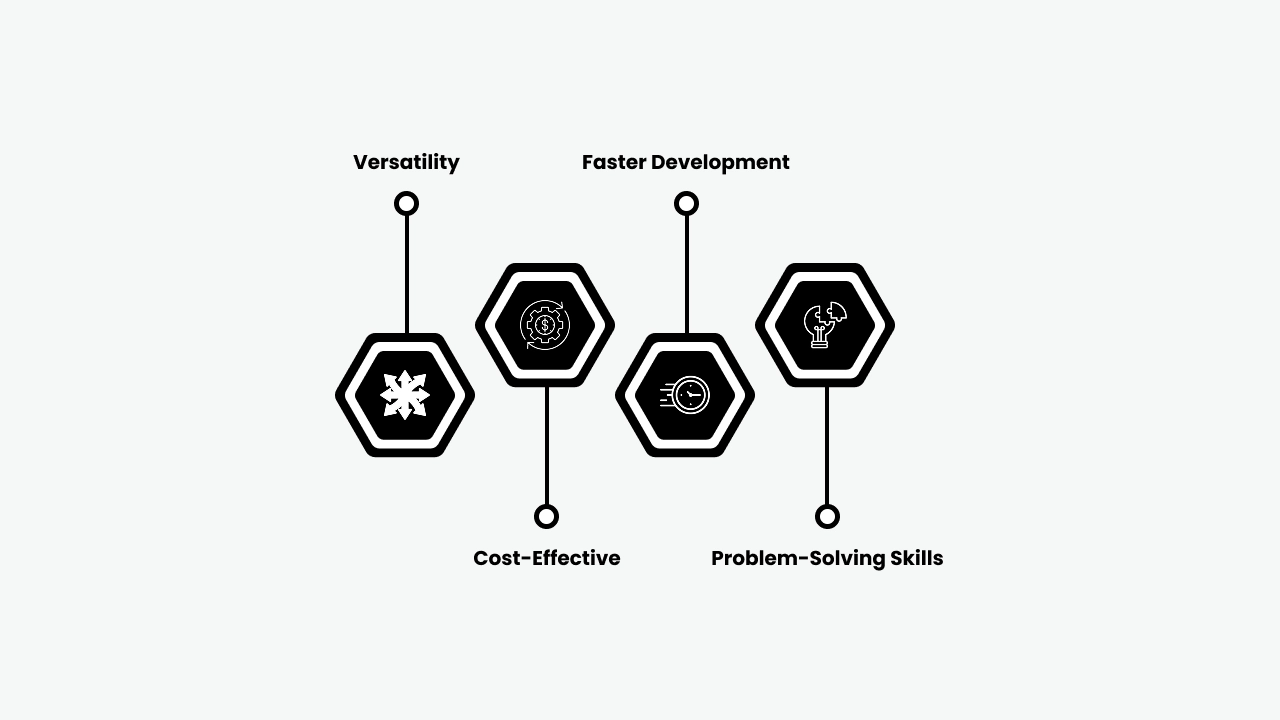 Why Hire a Full-Stack Developer?