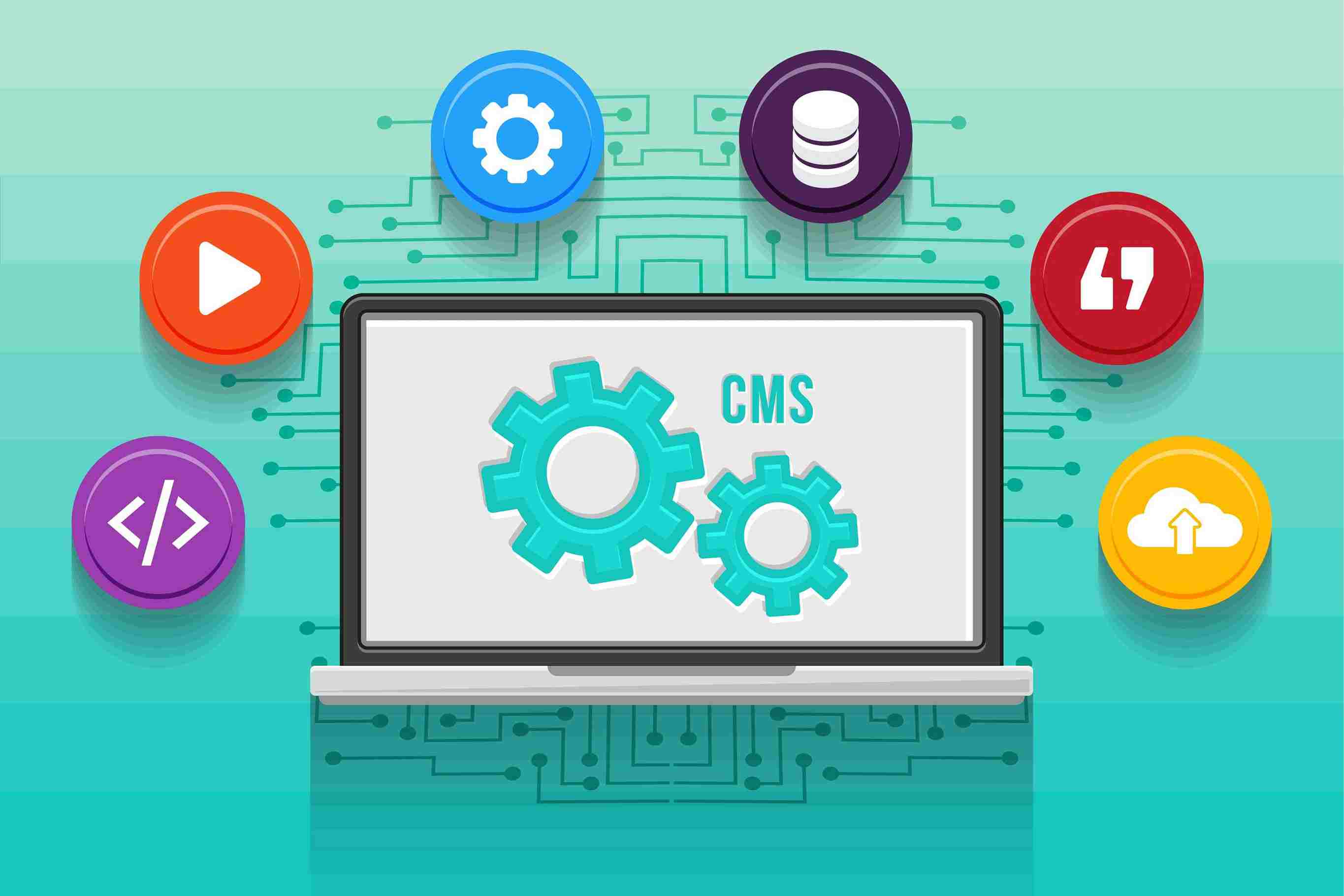 THow Custom Software Development Can Transform Your Business