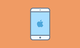 iPhone Application Developer